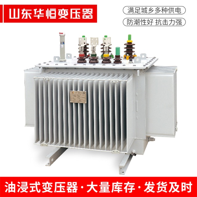 S13-10000/35绥棱绥棱绥棱电力变压器