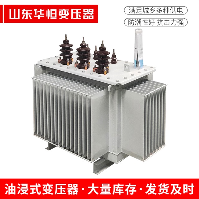 S13-10000/35绥棱绥棱绥棱油浸式变压器厂家